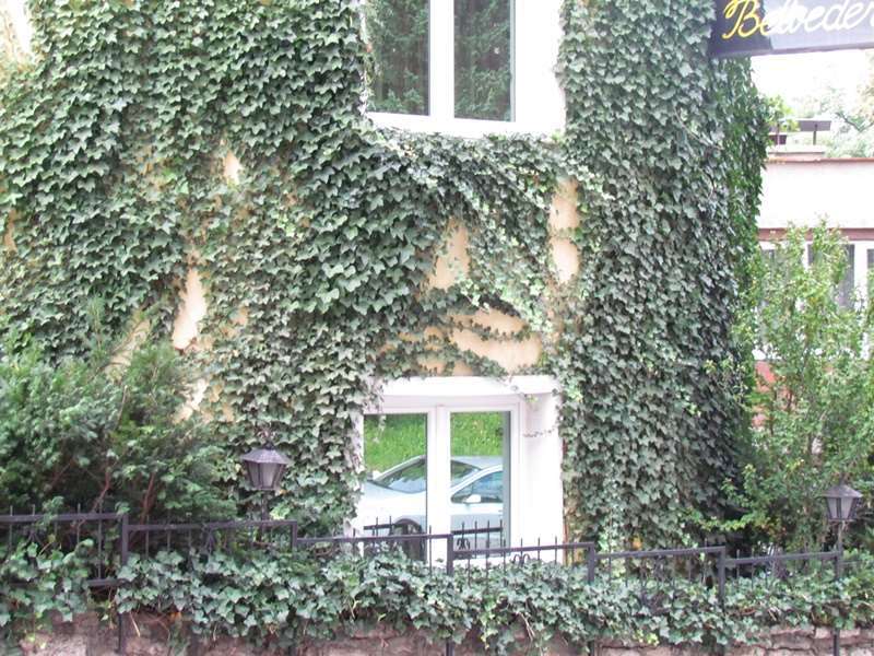 Hotel Belvedere SJJ Buitenkant foto